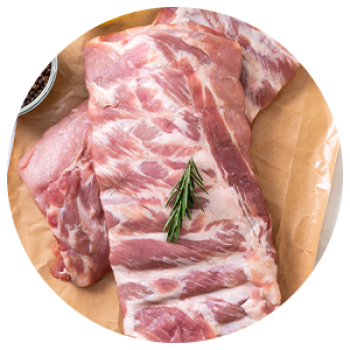 cat-carne2